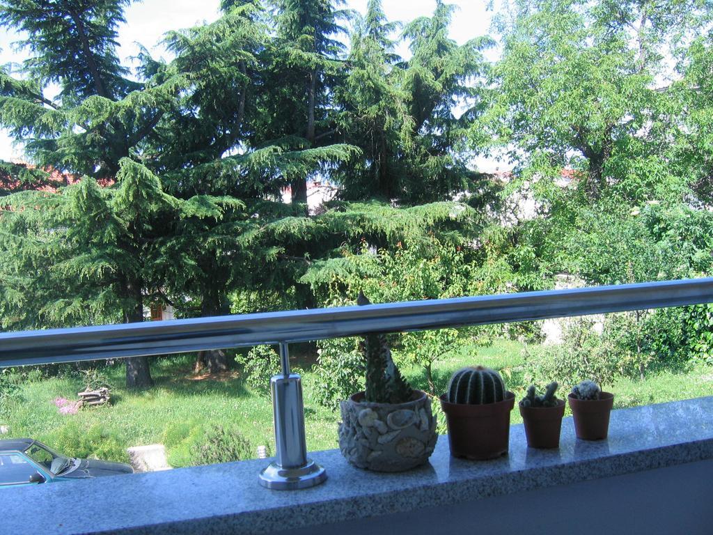 Apartment Cvjetna Rijeka Ruang foto