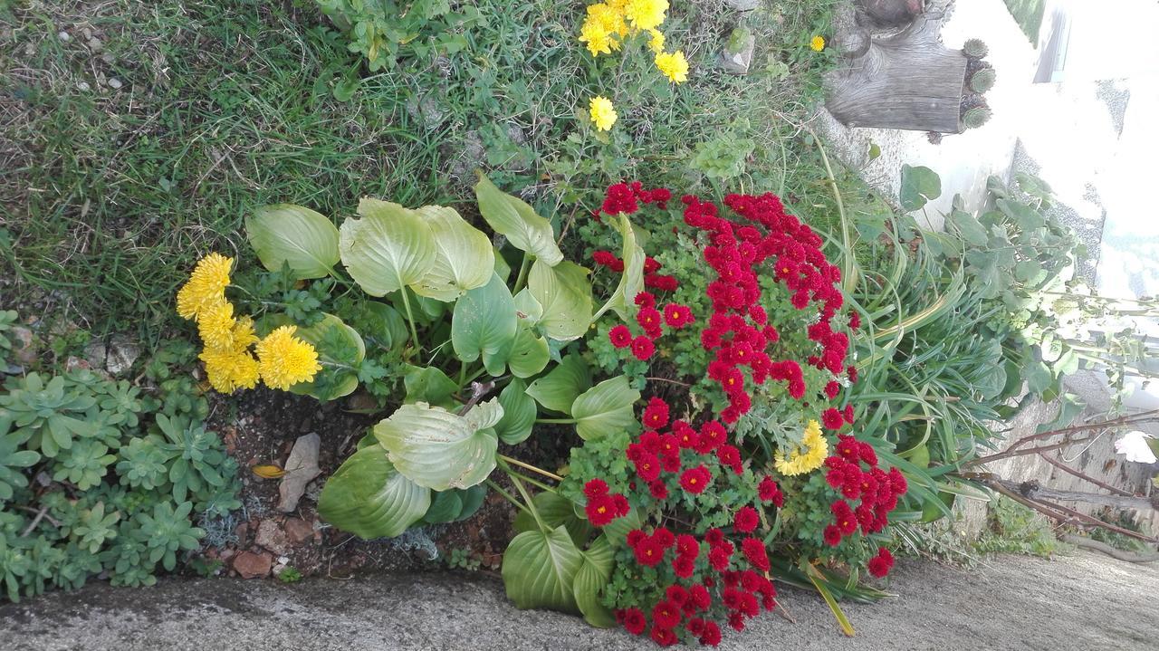 Apartment Cvjetna Rijeka Bagian luar foto